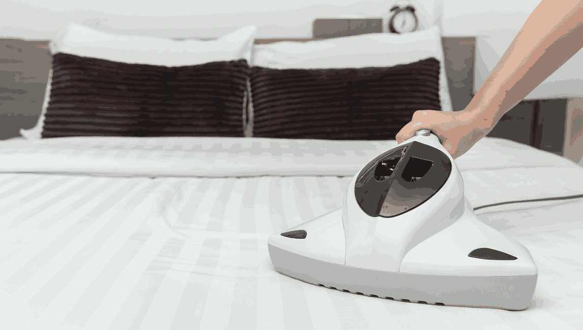 Professional Mattress Cleaning Ocean Grove